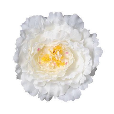 TESTA PEONIA XXL D48 CREMA